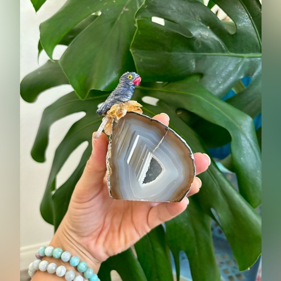 Parrot carving on Agate geode - Picture 5 of 5